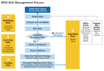 MSD Risk Management Process (Click for larger view)